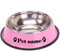 CZD Personalized Dog Bowl with Your Pet's Name, Personalised,Stainless Steel Dog Dishes , Food and Water Bowl (18cm x13cm,Pink)