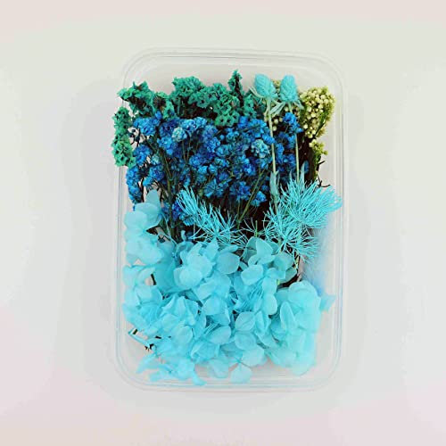 Trockenblumen Deko Trockenblumen Zum Basteln Mini Trockenblumen Trockenblumen Zum Basteln für Kranz Für DIY Handwerk Epoxy Formen für getrocknete Blumen Dekoration (Blau)
