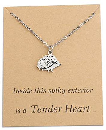 Nette Igel Halskette Igel Anhänger Halskette Igel Liebhaber Geschenke Igel Charme Schmuck für Frauen
