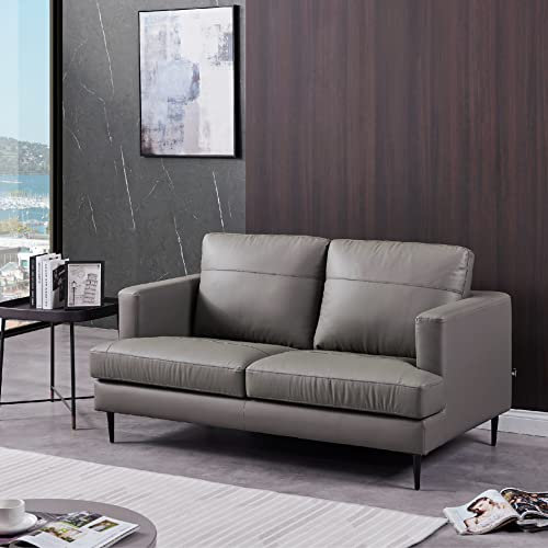 De RUCCI Ledersofa S123 Vittoria Bestes Preis-Leistungsverhältnis Echtleder im Komfortbereich (S128 Grau, 2 Sitzer)