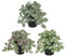 Oairse Juego de 3 Plantas Artificiales Mini Decorativas Modernas Colgantes en Maceta para Salón, Balcón, Dormitorio, Cuarto de Baño, Decoración de Mesa