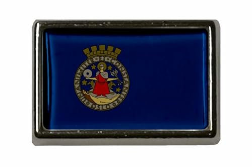 U24 Pin Oslo Flaggenpin Anstecker Anstecknadel Fahne Flagge