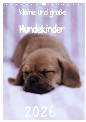 Kleine und große Hundekinder 2026 (Wandkalender 2026 DIN A3 hoch), CALVENDO Monatskalender: Der Welpenkalender für alle Hundefreunde (CALVENDO Tiere)