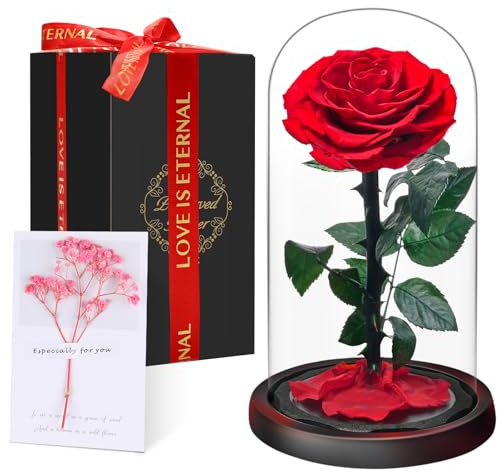 Weihnachten Premium Ewige Rose im Glas mit Geschenkbox | Echte konservierte Blume in Handarbeit für 5 Jahre | Einzigartiges Geschenk für Frau, Mama, Oma als Liebesbeweis zu Valentinstag, Muttertag