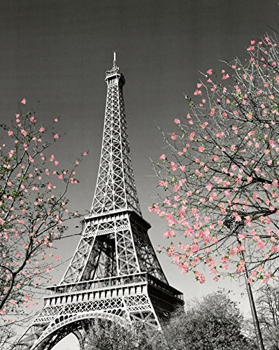 YISUMEI Decke 150x200 cm Kuscheldecken Sanft Flanell Weich Fleecedecke Bettüberwurf Paris Eiffelturm Blüten