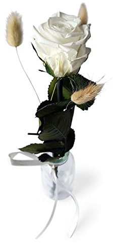 Konservierte Rose mit Vase - Echte ewige Rose mind. 3 Jahre haltbar – kurze Rose mit Stiel Höhe 26 cm - stilvolle Dekoration mit Infinity Rose - Geschenk für jeden Anlass - Made in Germany (Weiß)