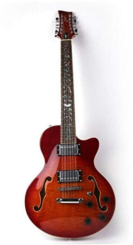CAZARU Chitarra Chitarra 12 Corde Hollow Corpo Chitarra Elettrica Strumento Musicale F Foro 12 Corde Chitarra Elettrica Chitarra Acustica Hyococ