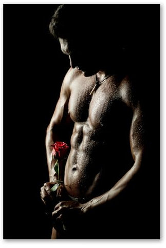 Postereck - 1265 - Mann mit Rose, Sixpack Muskeln Erotik Sexy Blume - Erotisch Sexy Nackt Wandposter Fotoposter Bilder Wandbild Wandbilder - Poster - 3:2-30,0 cm x 20,0 cm