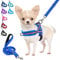 Eyein No Pull Small Dog Harness & Lead, Heavy Duty Soft Padded Reflective Adjustable Puppy Harness Anti-Twist Pet Lead Quick Fit for Small Dog Cat Animal (Dark Blue, XS)