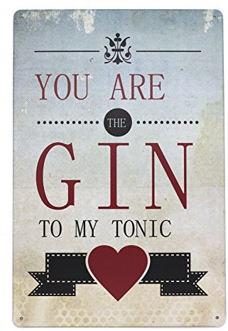 Hioni You Are The Gin to My Tonic Vintage Blechschild Poster Wandschild Wand Dekoration Metallschild Türschild