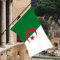 Drapeau de l'Algérie Drapeau Algérien Parade Décoration Fête Célébration Coupe du Monde Double Couture Drapeaux Décoratifs Couleurs Vives Pas de Décoloration Algérie 150 * 90cm/5x3 ft