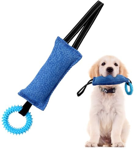 EPODA Jouet Chien Indestructible, Boudin Jouet pour Chien Interactif, Mâcher Corde Jouets pour Jeux Chiens, Cadeau (Bleu)