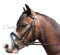 Leder Flash Trensenzaum mit Gummi-Zügel. Shetland, Pony, Cob, Full New