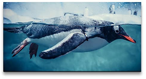 Paul Sinus Leinwandbild 120x60cm Pinguin unter Wasser schönes Tier Fotokunst