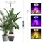 Ainiv Lampada per Piante da Interno, 72 LEDs lampada per Piante a Spettro Completo, 10 Luminosità Regolabile Pannello Luminoso Girevole a 180°,con Basamento, 3/9/12H Timer Automatici - Grande