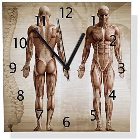 Wallario Design Wanduhr Anatomie Mensch I aus Aluverbund, Alu-Uhr Größe 30 x 30 cm, Schwarze Zeiger mit Metalloptik