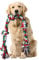 Aitmexcn Christmas Dog Rope Toys for Large Medium Dog Chewers, Dogs Rope Indestructible Dog Chew Toys, 37 Inch 5 Knots Tough Dog Tug Toy for Teeth Cleaning, Tug of War