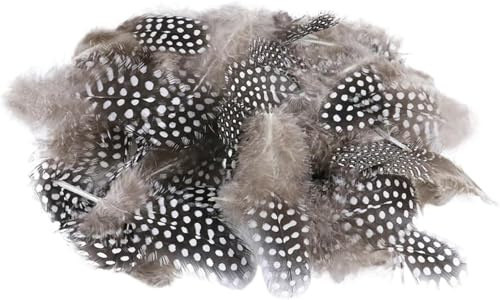 Generisch Natürliche Federn Deko Federn Ostern, Federn zum Basteln, Perlhuhnfedern Wachteleier Deko, Braun Federn Basteln Weich Feather, Naturfedern Hühnerfeder Kopfschmucksfedern für DIY Kunstwerk