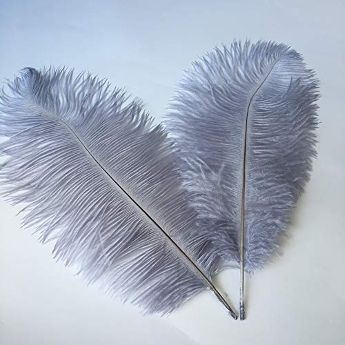 Sowder Strauß-Federn 14-16inch (35-40cm) für Haupthochzeits-Dekoration Packung 10pcs(grau)