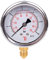 THERMIS Manometer 304G 1/4 Anschluss von unten (0 – 6 bar) 63 mm