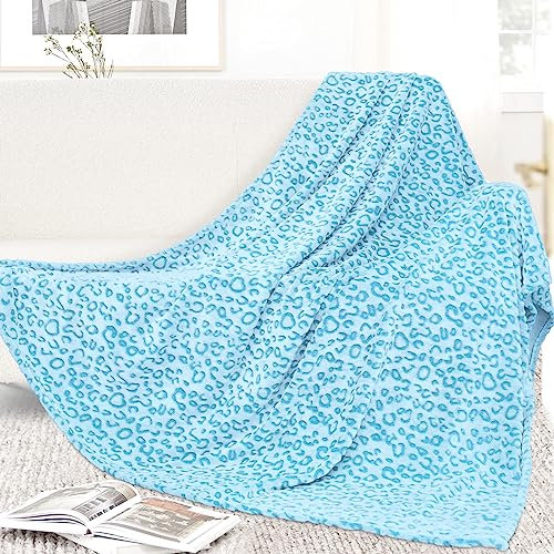 Blaue Decke für Doppelbett, flauschig, weich, himmelblau, Fleece-Doppeldecken für Bett, Couch, Schlafzimmer, Heimdekoration, 152,4 x 203,2 cm