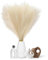 PCKOBEVER Lot de 5 herbes de pampa artificielles naturelles séchées - 80 cm de haut - Plumes artificielles pelucheuses pour décoration de maison, vases, bureau, mariage, décoration de fête