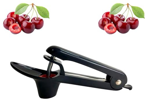 AIBAOBAO Dénoyauteur à Cerises et Olives, Dénoyauteur de Fruits avec Tige en Acier Inoxydable, Cherry Stoner, Outil de Cuisine pour Faire des Confitures et Gelées de Fruits (Noir)