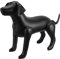 MERRYHAPY Hundemanikin Aufblasbar Für Bekleidungspräsentationen Lifelike Hundemodell Für Schaufenster Und Haustierpflege Attraktives Design Für Tierbekleidungsausstellungen Und
