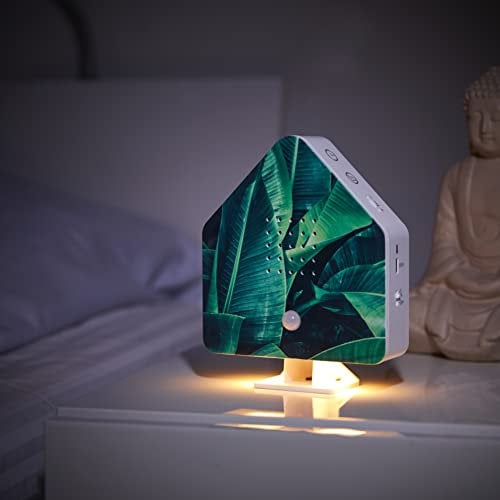 Northpoint Nature Sound Box Vogelgezwitscher Vogelgeräusche Box Motion Sensor Vogelgeräusche Licht Wiederaufladbar mit Wandhalterung Palm Leaf Cottage