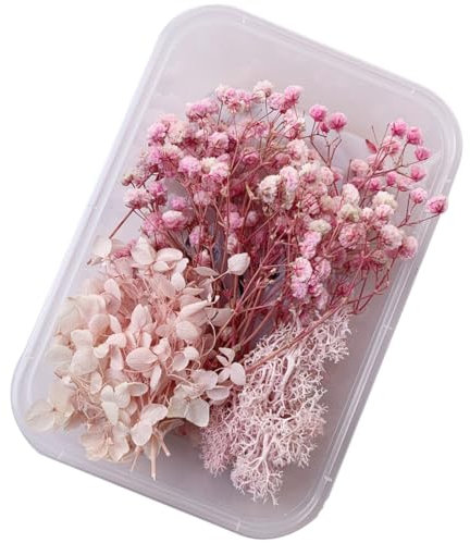 ZEPIQOR Fiori Secchi per Resina Fiori Secchi Decorativi Fiori Secchi per Candele Fiori Secchi per Decorazioni per Resina Epossidica Bouquet Fiori Secchi Artigianato Scrapbooking Decorazioni (B)