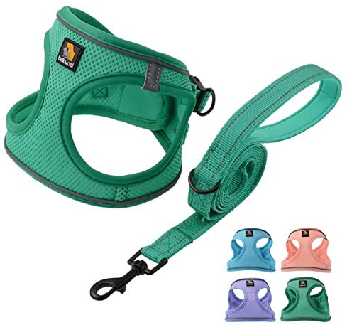 BELLA & PAL Hundegeschirr Kleine Hunde mit Leine, Step-in Geschirr aus Air Mesh, Anti Zug Reflektierend Atmungsaktiv Brustgeschirr, Welpengeschirr für Kleine Hunde, Katzengeschirr, Smaragd, XS