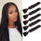 Dcbaboo Braids Extensions Kunsthaar zum Einflechten 5 Stücke Ombre Braiding Hair Kanekalon Haare zum Einflechten Haarverlängerung Zöpfe Afro Box Braids Flechten 500g, Dunkelbraun