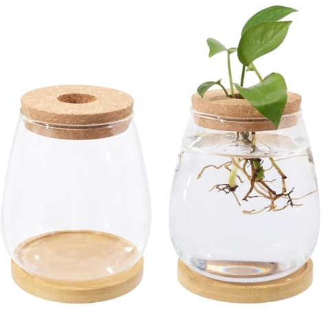 CHGCRAFT 2 pcs Plant Propagation Jars Glass Planter Vase Desktop Plant Terrarium with Wooden Lid and Bamboo Stand for Hydroponic Plants Succulents Cut Flowers Garden Decor, Clear, 4.45x 5.91inch