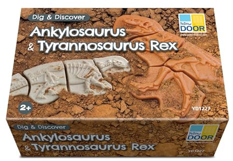 Yellow Door Dig & Discover – Ankylosaurus & Tyrannosaurus rex