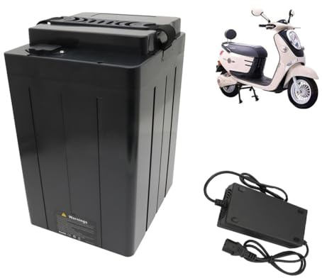 HJGHY E-bike Batteries 48V 50Ah 40Ah Lithium Battery 60V 30Ah 20Ah Replaceable Battery 72V 22.5Ah 18Ah Motorcycle Batteries for 950W-2400W Motor with Charger,48V30Ah