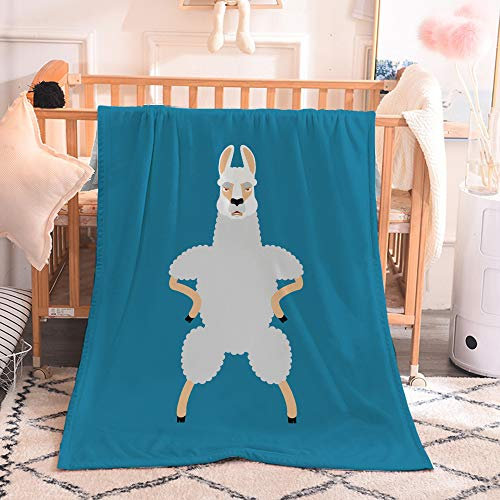 FANSU Kuscheldecke Flanell Decke, 3D Drucken Microfaser Flauschig Weich Warm Plüsch Wohndecke Fleece Tagesdecke Decke für Sofa und Bett (Blau,150x130cm)