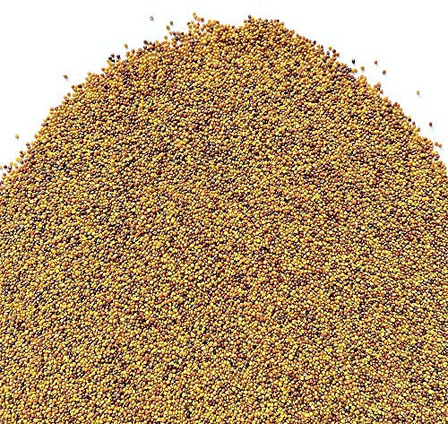 Il Contadino - Antiche Sementi | TRIFOGLIO BIANCO NANISSIMO con RHIZO | Tappeto con foglie molto piccole, Bassa manutenzione, Tagli poco frequenti, Abbastanza resistente all'ombreggiamento (1 Kg)