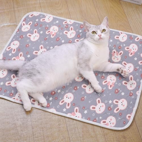 Viusneun Kühlmatte für Katzen, Selbstkühlende Kühlmatte für Hunde rutschfest Waschbar Sommer Kühlkissen Weich Geruchlos Kühlmatte für Zuhause Unterwegs Auto (Grau,40 x 30 cm)