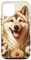 Kishu Ken Dog Summer Wildflowers Kunstwerk Hülle für iPhone 12/12 Pro