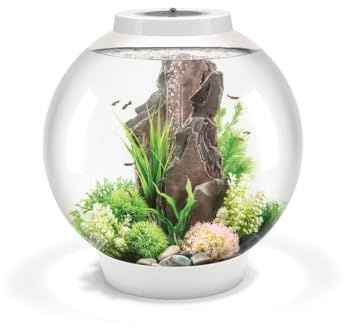 biOrb Classic 60 Acrylic Aquarium White, MCR Multi-Colour Remote LED Lighting, Classic Fishbowl Fish Tank with 5-Step Filtration System, Easy Setup, With Air Pump, Filter Cartridge, Ceramic Media