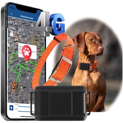4G GPS Hunde Jagdhund Tracker Ohne ABO Weltweite Live-Ortung Wasserdicht Hund Halsbänder mit Haustiersuche durch Licht/Ton & Smart Activity Tracking Gerät für mittelgroßer bis großer Hund