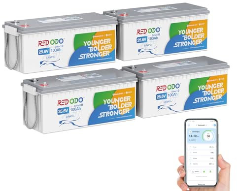 Redodo 24V 100Ah Bluetooth(4 Pack) Batterie Lithium,Batterie LiFePO4 Protection Low-Temp,BMS 100A,2560Wh Parfaite Batterie de Remplacement au Plomb pour Camping-Cars, VR, Caravanes, Solaire