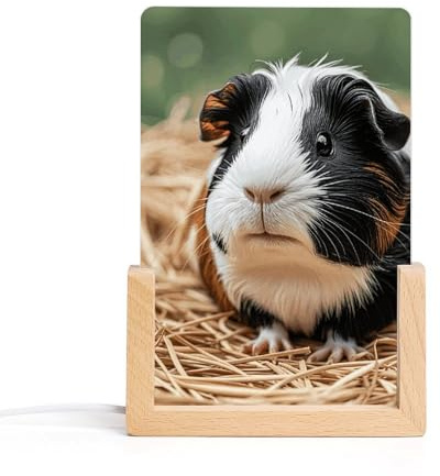 LYHVSFJW Niedliches Meerschweinchen-Nachtlicht, LED, kleine Schreibtischlampe, Acryl-Bilderrahmen, Nachtlichter, dekoratives Schlaf-Nachtlicht, USB-Nachttischlampe für Wohnzimmer, Schlafzimmer, Büros