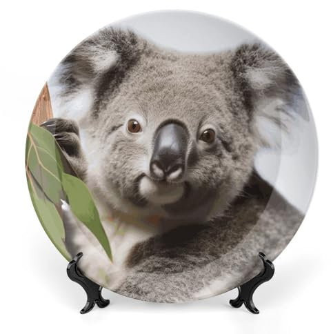 FZMVSQH Assiette décorative en porcelaine anglaise koala de 25,4 cm avec présentoir - Assiettes décoratives en porcelaine pour suspension murale