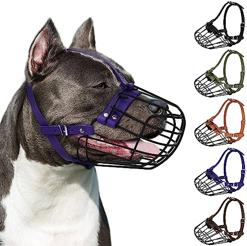 Pitbull Maulkorb für Hunde, atmungsaktiv, Metallkorb für große Hunde, Amstaff Staffordshire Terrier, sichere Drahtmaske, verstellbar, langlebig, Lederriemen, Beißen, Kauen, Bellen (lila)