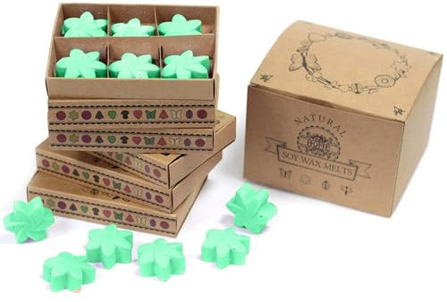 Ancient Wisdom Box of 6 Wax Melts - Hidden Garden - LWMELT-20