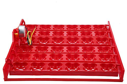 Tyenaza Bandeja Volteo Incubadora, 36 huevos/144 incubadora de Huevos de Pollo Incubadora Automática Pato Codornices Aves Aves de Corral Bandeja de al Incubadora de Huevos(43 x 41,7 x 5,2 cm)