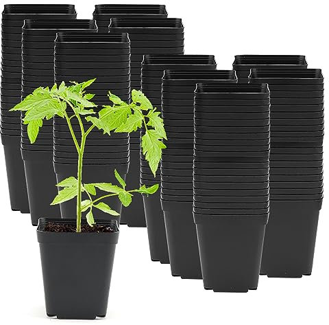 ZEONHAK 200 Pack 5.5cm Small Square Black Plant Pot, 2 Inch Mini Plastic Garden Flower Planter Pots for Succulents, Seed Nursery