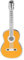 Pick Geek Geepins Enamel Guitar Pins (GeeClassicalSTD)