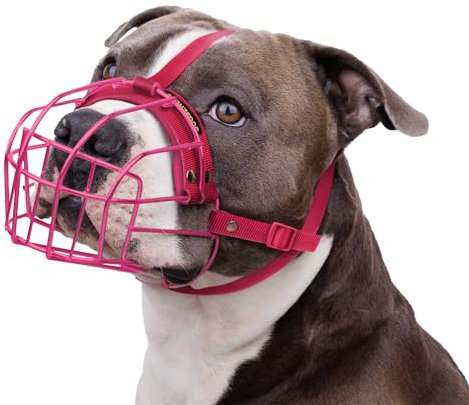 BRONZEDOG Maulkorb für Pitbull Hund aus Atmungsaktivem Metallkorb für Große Hunde Amstaff Staffordshire Terrier Beißen Kauen Bellen